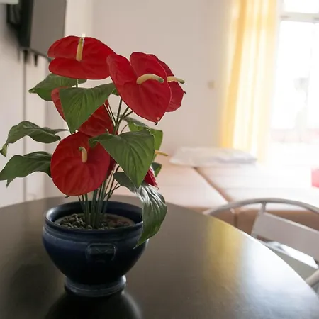 Apartments Damjanovic Makarska Room photo